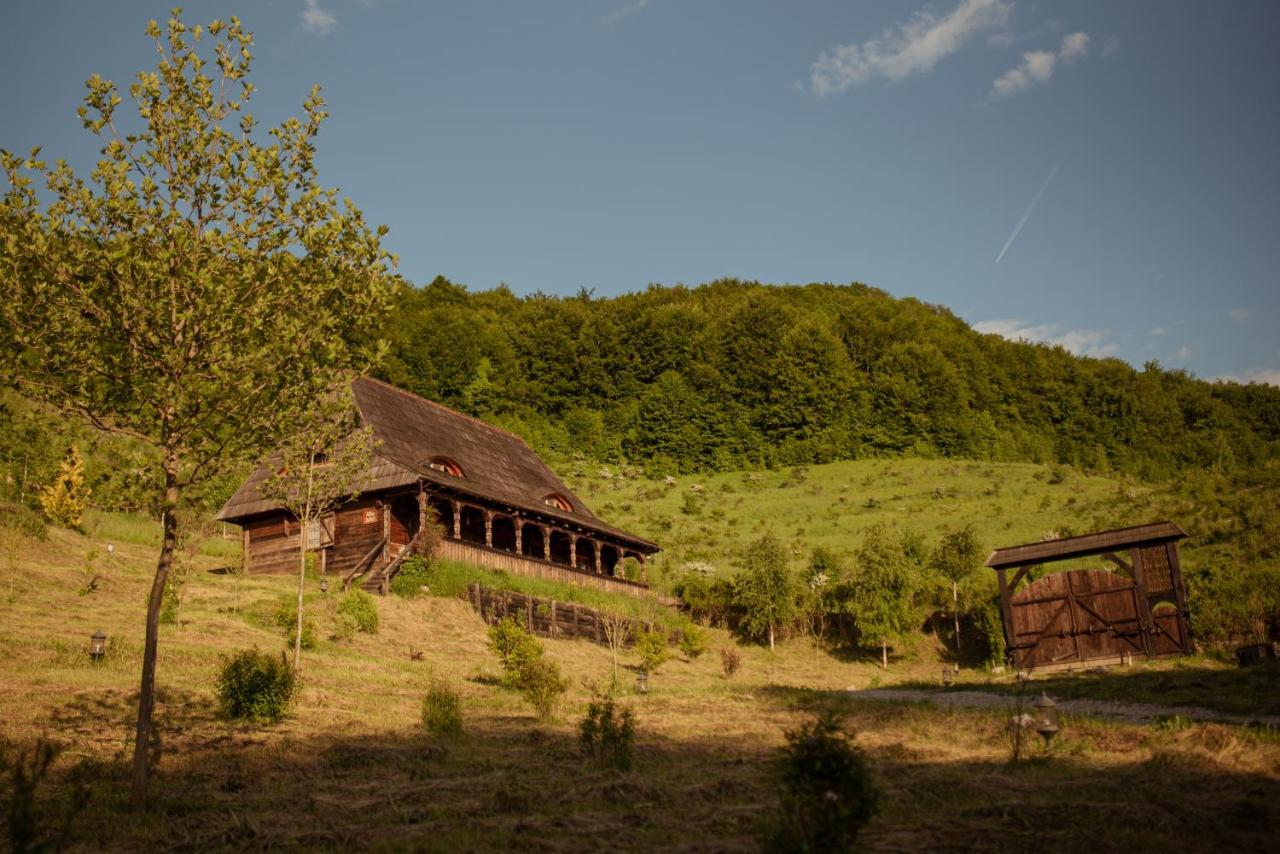 Raven'S Nest - The Hidden Village, Transylvania - Romania Sub Piatra Exteriér fotografie