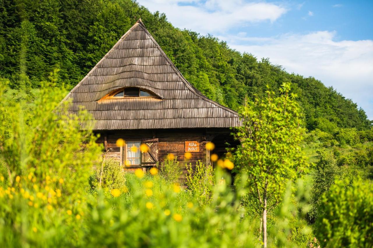 Raven'S Nest - The Hidden Village, Transylvania - Romania Sub Piatra Exteriér fotografie